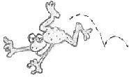 allaboutdrawings,a frog