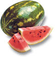 Crispy watermelon beats the heat!